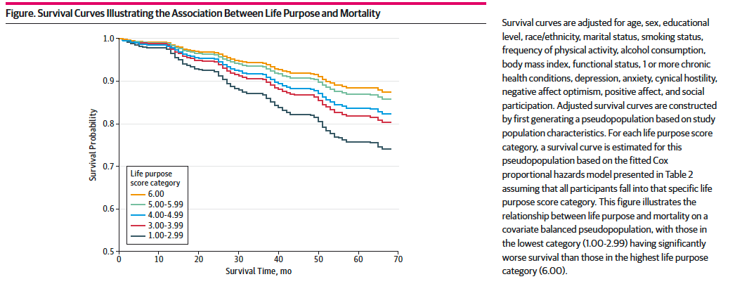 Survival curves illustrating the association between life purpose and mortality